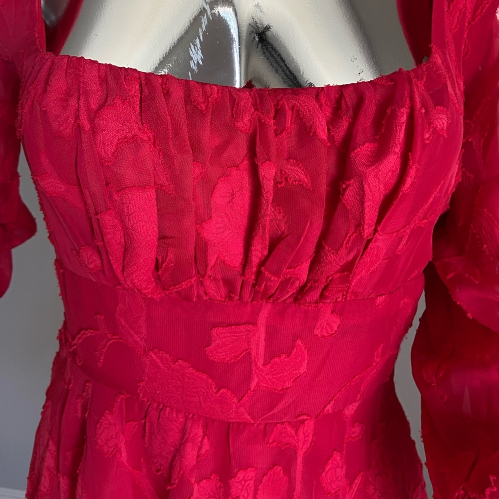 Sheer Lace Dress - Picture 4 of 6